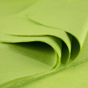 feuille-papier-de-soie-aloé-premium-01