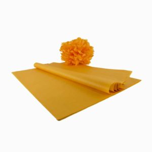 Feuille Papier de Soie - Qualité Premium - Champagne