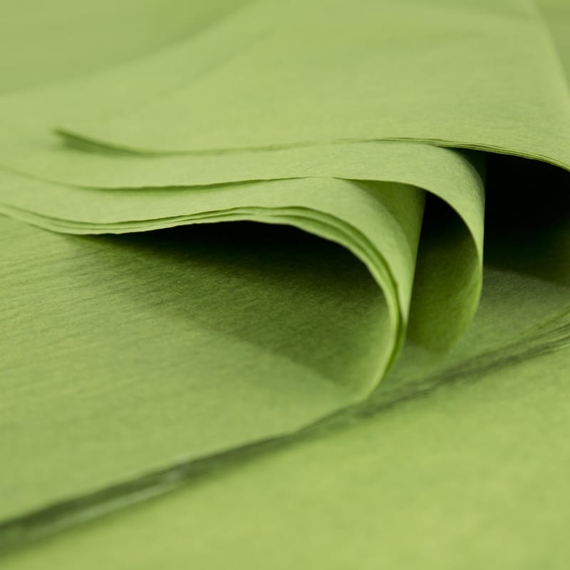 18 grammes fabrique en France Feuilles de papier de soie Premium 480 feuilles de 25 cm x 37 cm The Vert 
