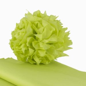 feuille-papier-de-soie-vert-anis-premium-05