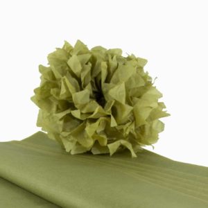 feuille-papier-de-soie-vert-mousse-premium-05