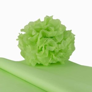 feuille-papier-de-soie-vert-pastel-premium-05