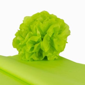 feuille-papier-de-soie-vert-pomme-premium-05